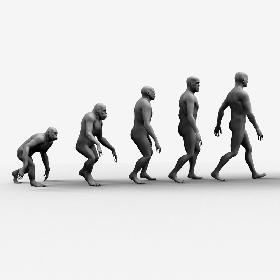 Darwin's Monkeys